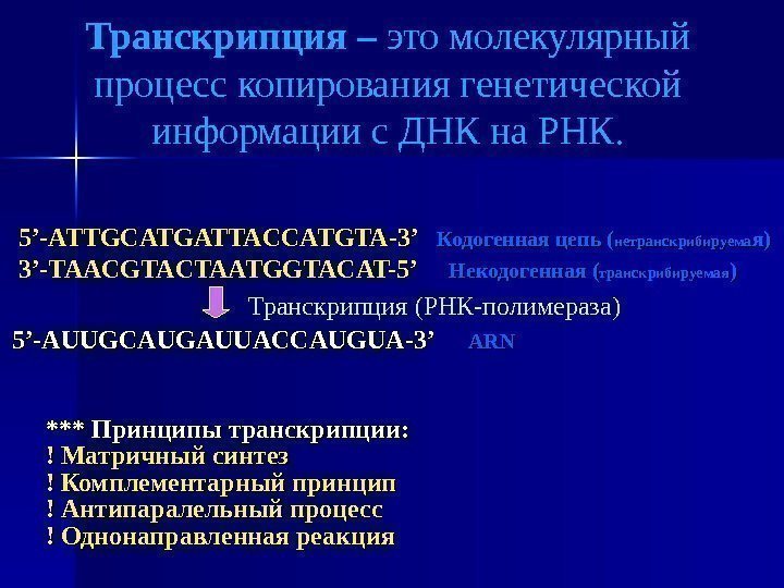 Транскрипция – это молекулярный процесс копирования генетической информации с ДНК на РНК. 55 ’-’-
