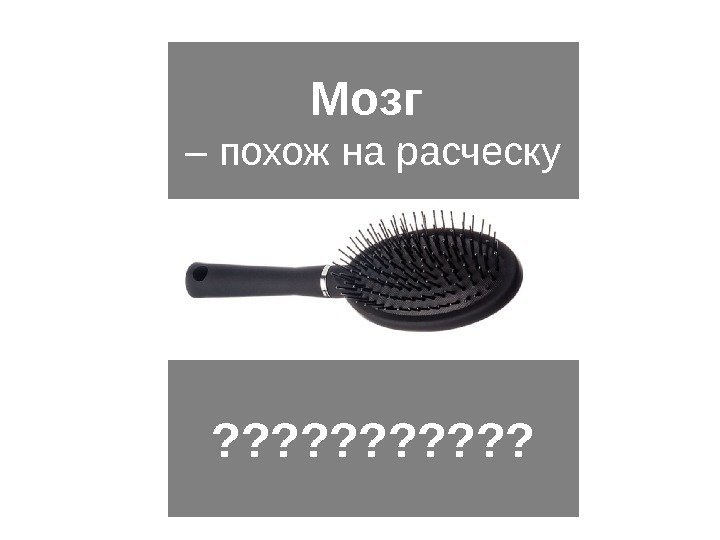 Мозг – похож на расческу ? ? ? 