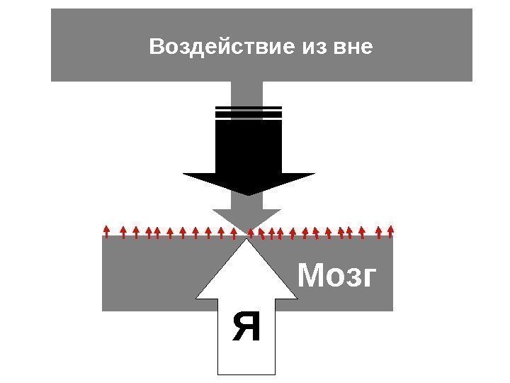 Воздействие из вне     Мозг Я 