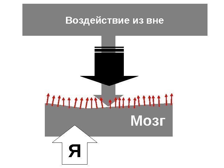 Воздействие из вне     Мозг Я 