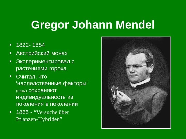 Gregor Johann Mendel • 1822 - 1884 • Австрийский монах • Экспериментировал с растениями