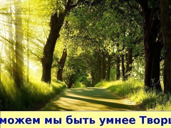   … не можем мы быть умнее Творца … 