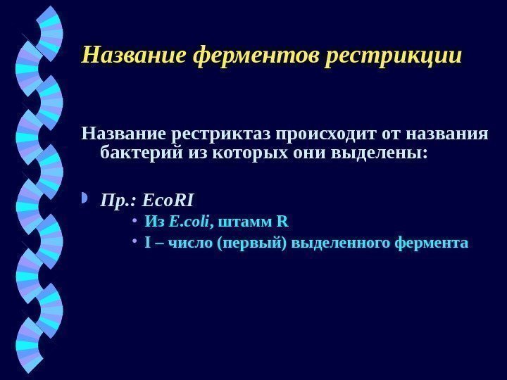 Название ферментов рестрикции Название рестриктаз происходит от названия бактерий из которых они выделены :