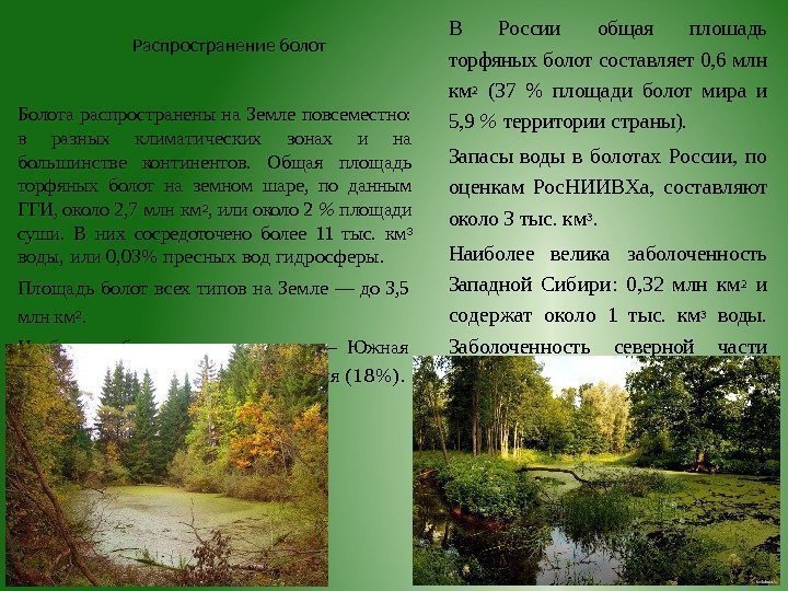 Распространение болот Болота распространены на Земле повсеместно:  в разных клима тических зонах и