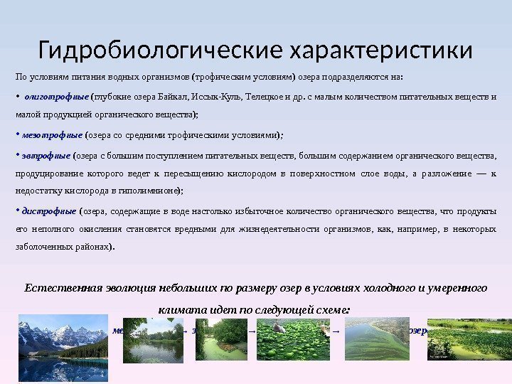 Гидробиологические характеристики По условиям питания водных организ мов (трофическим условиям) озера подразделяются на: 