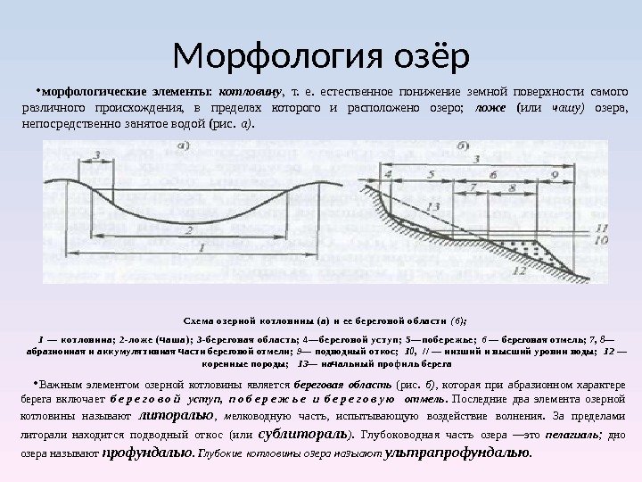 Морфология озёр • мор фологические элементы:  котловину ,  т.  естественное понижение