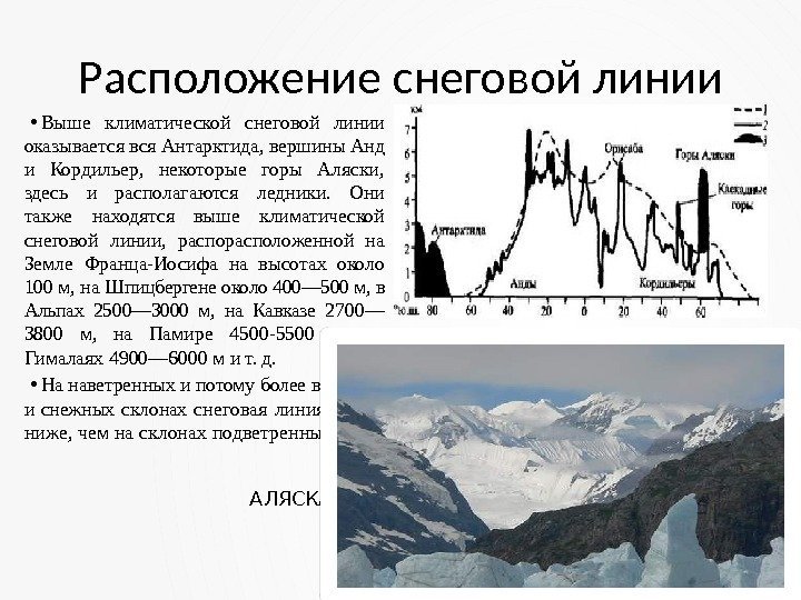 Расположение снеговой линии • Выше климатической снеговой линии оказывается вся Антарктида, вершины Анд и