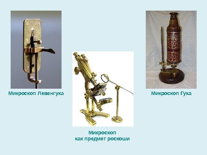 Микроскоп Левенгука Микроскоп Гука Микроскоп как предмет роскоши 