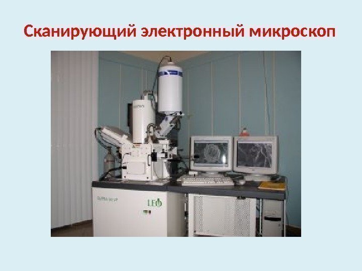Сканирующий электронный микроскоп 