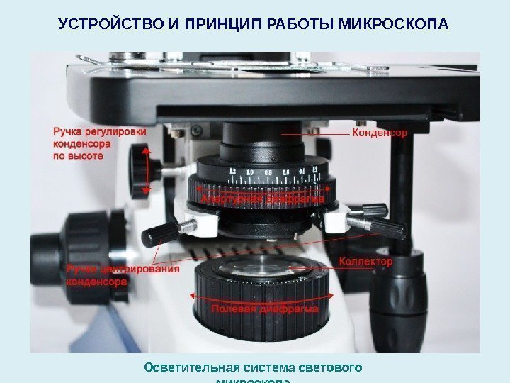 УСТРОЙСТВО И ПРИНЦИП РАБОТЫ МИКРОСКОПА  Осветительная система светового микроскопа 