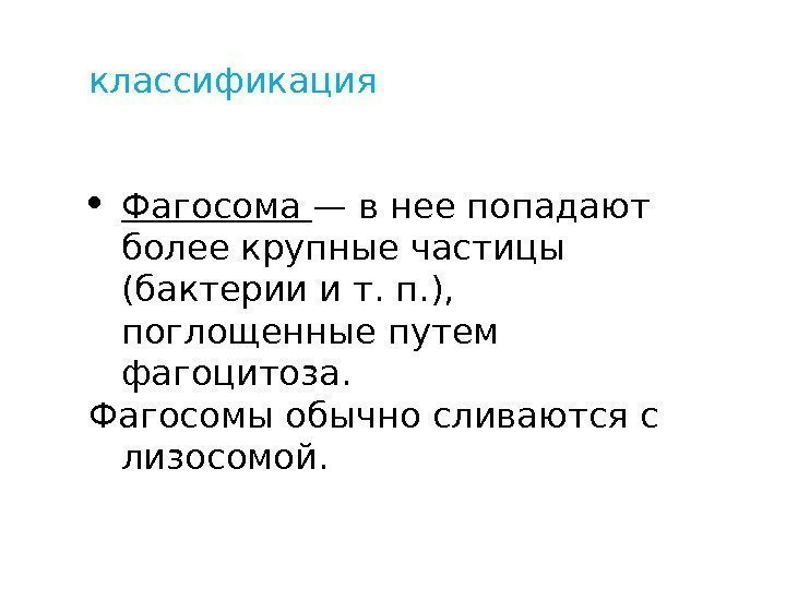 классификация Фагосома — в нее попадают более крупные частицы (бактерии ит. п. ), 