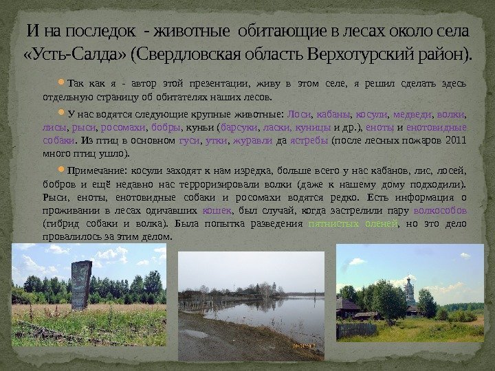 И на последок - животные обитающие в лесах около села  «Усть-Салда» (Свердловская область