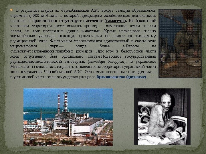  В результате аварии на Чернобыльской АЭС вокруг станции образовалась огромная (4000 км²) зона,
