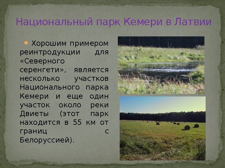 Национальный парк Кемери в Латвии Хорошим примером реинтродукции для  «Северного серенгети» , 