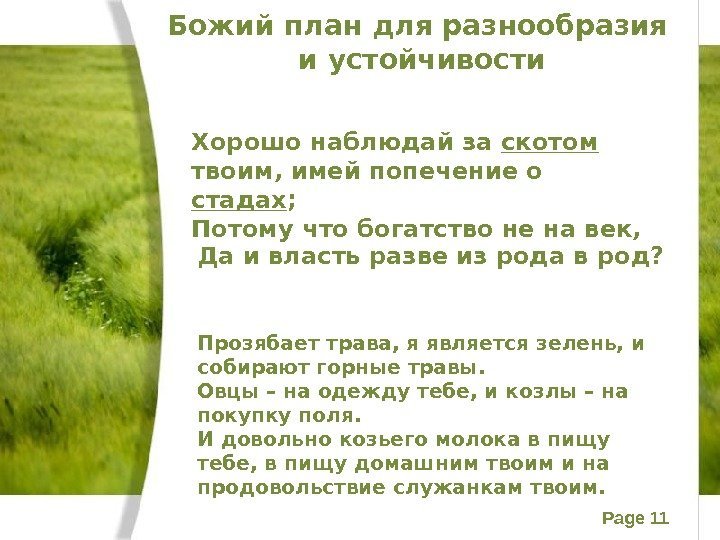Page 11 Божий план для разнообразия и устойчивости Прозябает трава, я является зелень, и
