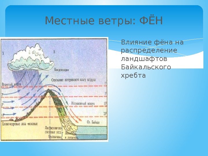 Местные ветры: ФЁН Влияние фёна на распределение ландшафтов Байкальского хребта  