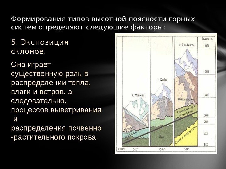 Формирование типов высотной поясности горных систем определяют следующие факторы:  5. Экспозиция склонов. 