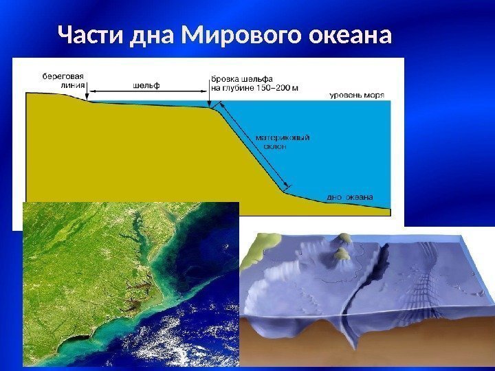 Части дна Мирового океана 