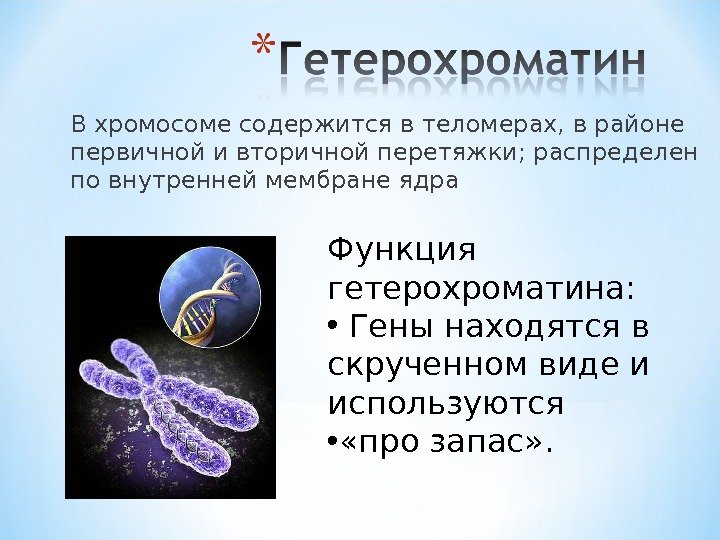 В хромосоме содержится в теломерах, в районе первичной и вторичной перетяжки; распределен по внутренней
