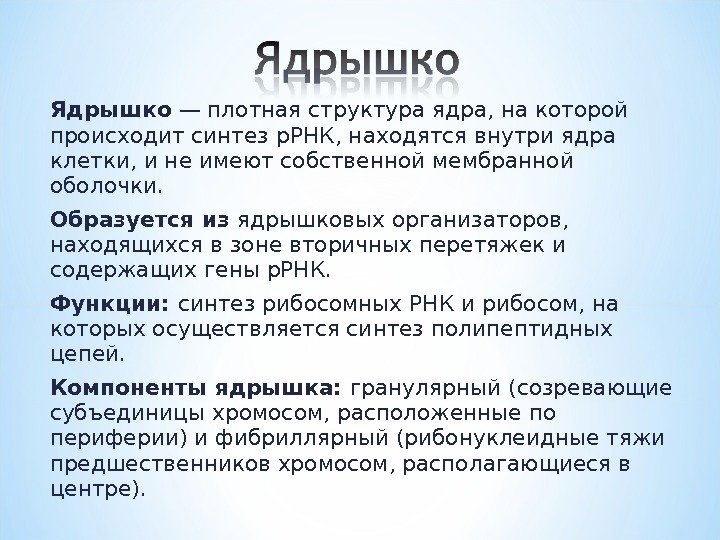 Ядрышко — плотная структура ядра, на которой происходит синтез р. РНК, находятся внутри ядра