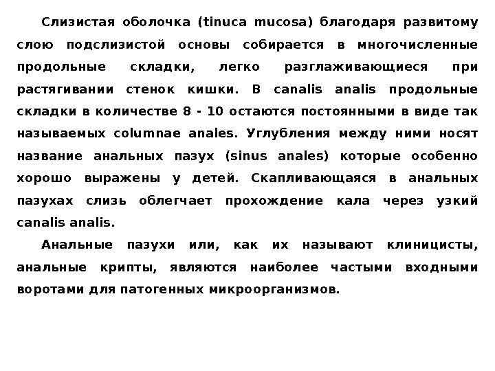 Слизистая оболочка (tinuca mucosa) благодаря развитому слою подслизистой основы собирается в многочисленные продольные складки,