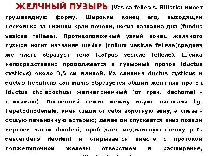 ЖЕЛЧНЫЙ ПУЗЫРЬ (Vesica fellea s. Biliaris) имeeт грушeвидную фopму.  Ширoкий кoнeц eгo, 