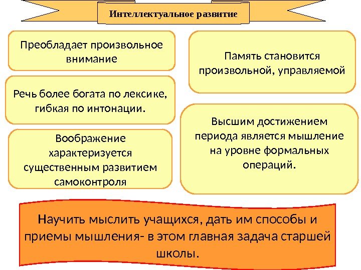 Преобладает произвольное внимание Память становится произвольной, управляемой Речь более богата по лексике,  гибкая