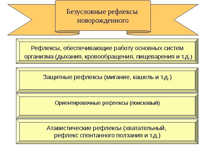 Безусловные рефлексы новорожденного Атавистические рефлексы (хватательный,  рефлекс спонтанного ползания и т. д. )