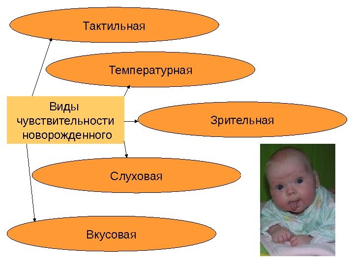 Виды чувствительности  новорожденного Тактильная Зрительная Вкусовая Слуховая. Температурная 