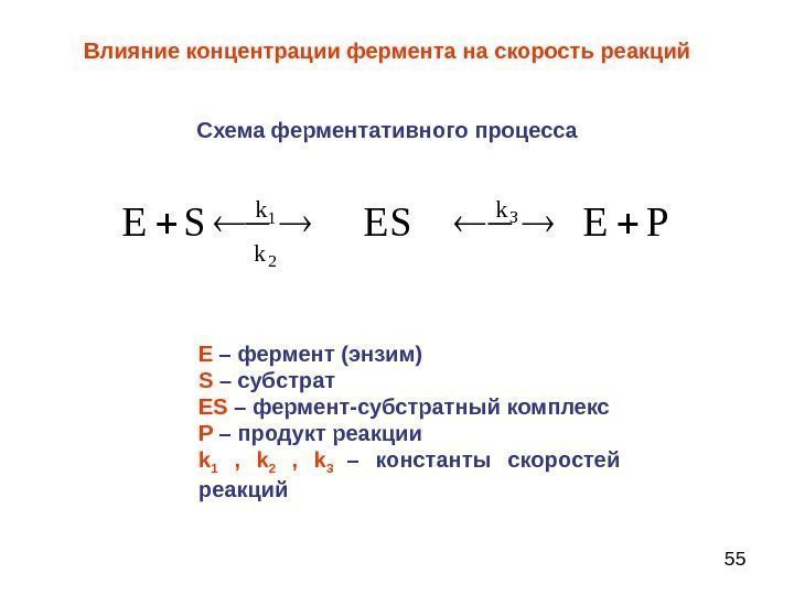 55 Влияние концентрации фермента на скорость реакций Схема ферментативного процесса Е – фермент (энзим)