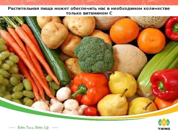 Растительная пища может обеспечить нас в необходимом количестве только витамином С 