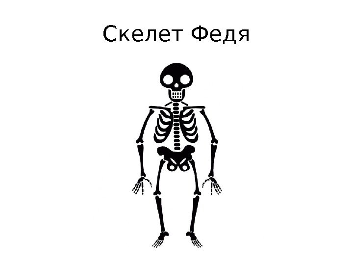 Скелет Федя 