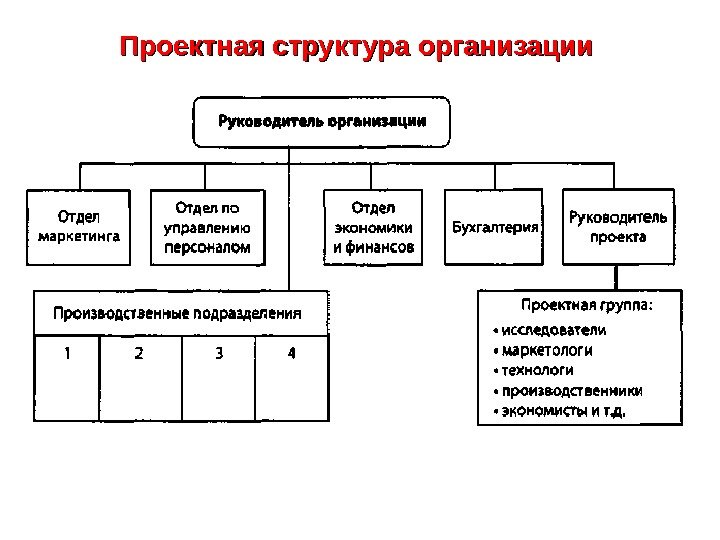   Проектная структура организации 
