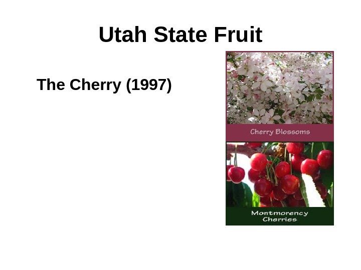 Utah State Fruit The Cherry (1997) 