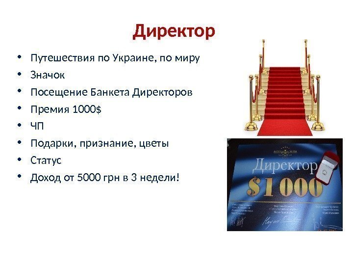 Директор  • Путешествия по Украине, по миру • Значок • Посещение Банкета Директоров