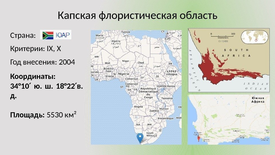 Капская флористическая область Страна: Критерии: IX, X Год внесения: 2004 Координаты:  34° 10