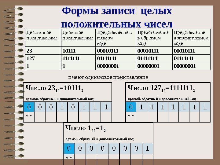 Формы записи целых положительных чисел Десятичное представление Двоичное представление Представление в прямом коде Представление