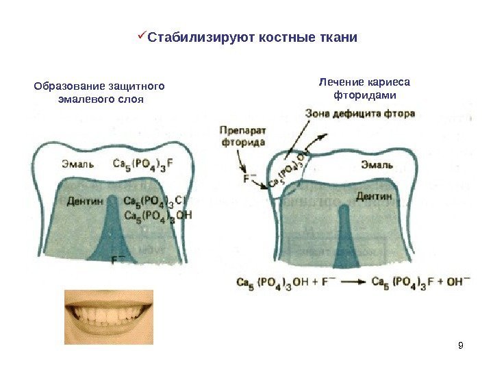 9 Образование защитного эмалевого слоя Лечение кариеса фторидами Стабилизируют костные ткани 