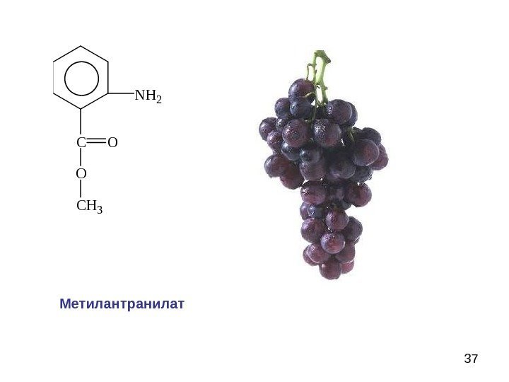  37 N H 2 C O C H 3 O Метилантранилат 