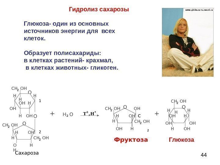  44 Гидролиз  сахарозы + H  O 2 + О С OH