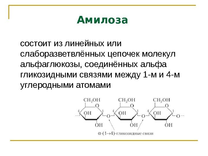 Амилоза  состоит из линейных или слаборазветвлённых цепочек молекул альфаглюкозы, соединённых альфа гликозидными связями