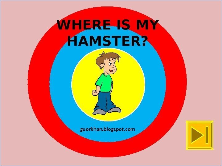 WHERE IS MY HAMSTER? guorkhan. blogspot. com 