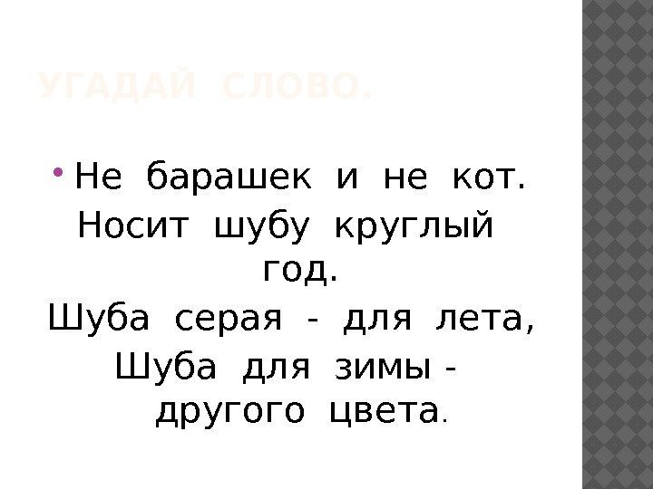 УГАДАЙ СЛОВО.  Не барашек и не кот. Носит шубу круглый  год. Шуба