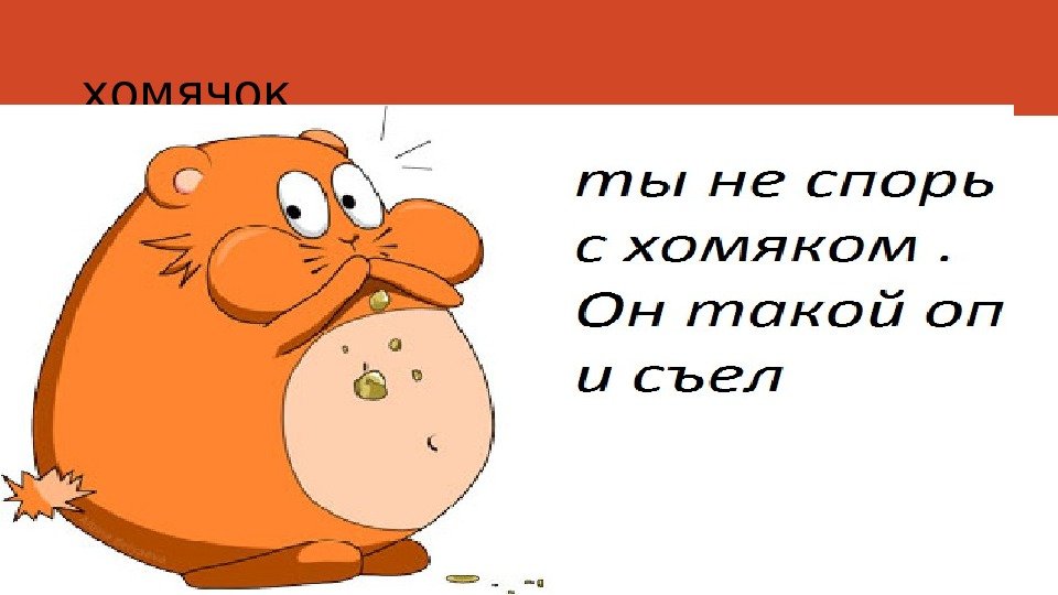 хомячок 