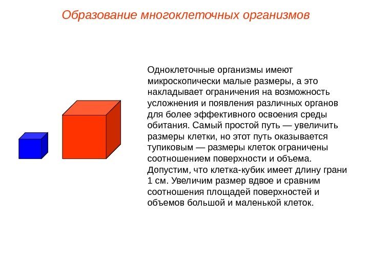 Одноклеточные организмы имеют микроскопически малые размеры, а это накладывает ограничения на возможность усложнения и