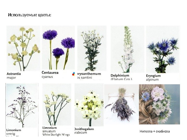 Используемые цветы:  Нигелла + скабиоза 