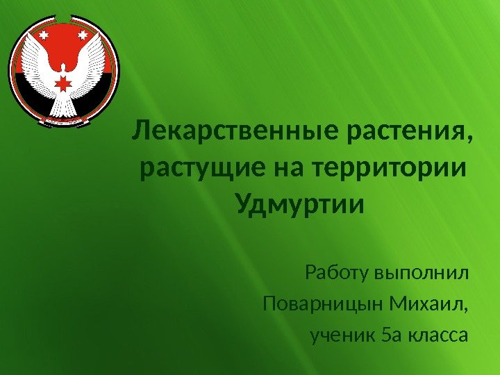 Лекарственные растения,  растущие на территории Удмуртии Работу выполнил Поварницын Михаил, ученик 5 а