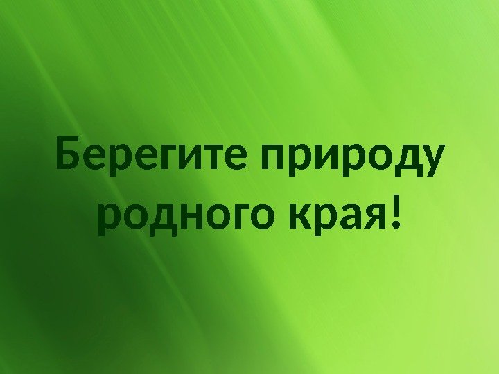 Берегите природу родного края! 