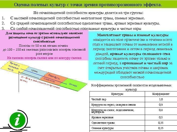   Оценка полевых культур с точки зрения противоэрозионного эффекта.  По почвозащитной способности