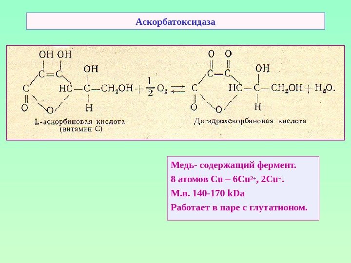 Аскорбатоксидаза Медь- содержащий фермент. 8 атомов Cu – 6 Cu 2+ , 2 Cu